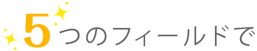 5つのフィールドで